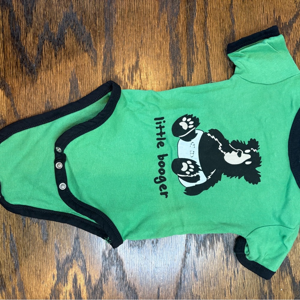 Lazy One Green Baby Bodysuit with Bear Design